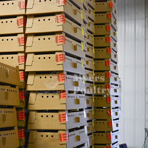 Chick hatchery shipping boxes