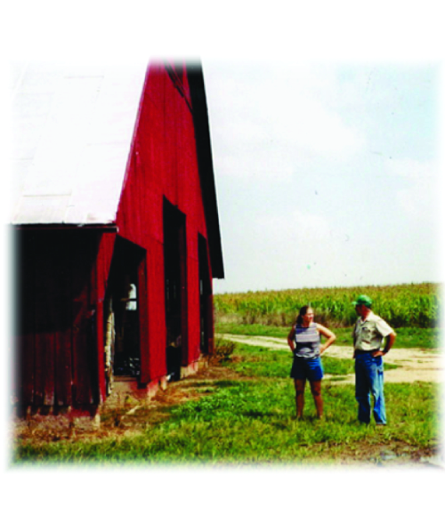 working on the poultry farm