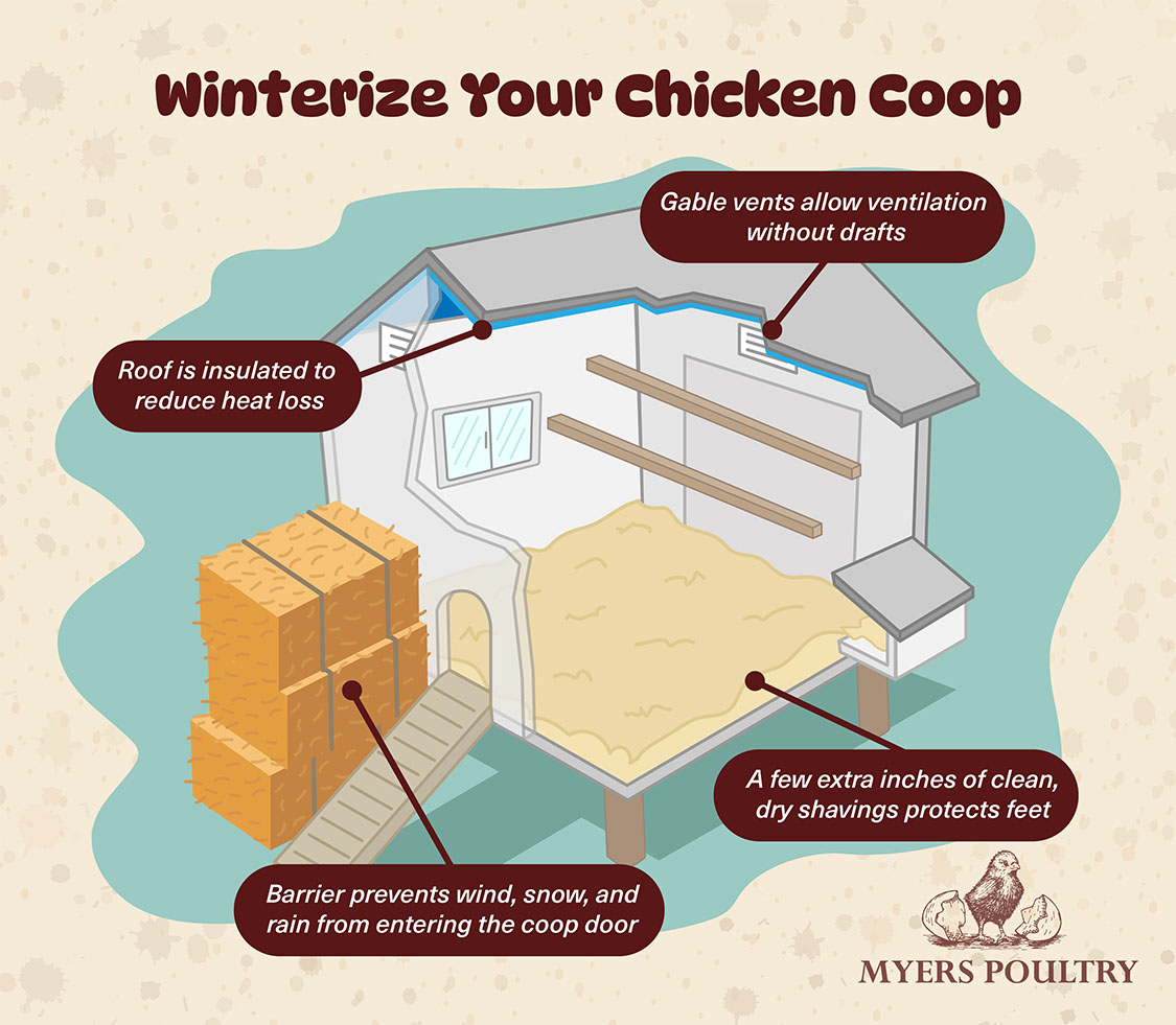 Myers Poultry winter coop graphic