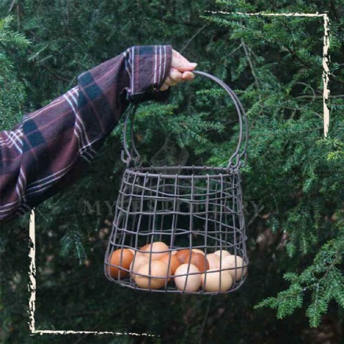 woman holding brown eggs in wire basket